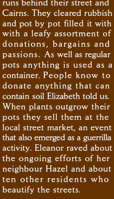runs behind their street and Cairns. They cleared rubbish and pot by pot filled it with 
with a leafy assortment of donations, bargains and passions. As well as regular pots anything is used as a container. People know to donate anything that can contain soil Elizabeth told us. When plants outgrow their pots they sell them at the local street market, an event that also emerged as a guerrilla activity. Eleanor raved about the ongoing efforts of her neighbour Hazel and about ten other residents who beautify the streets. 
