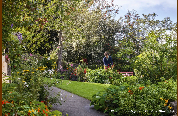 Castle Street Pocket Park and Richard Reynolds. Photo by Jason Ingram for Gardens Illustrated September 2021