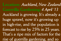 Location: Auckland, New Zealand Guerrilla Gardening: 4 April ‘13 Auckland is growing. It’s already a huge sprawl, now it’s growing up in high-rise, and the population is forecast to rise by 25% in 25 years. That’s a ripe mix of factors for the rise of guerrilla gardening, and so